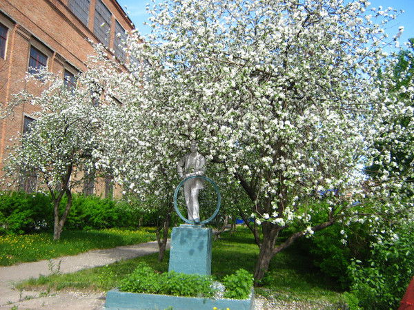 Игорь Щепалин