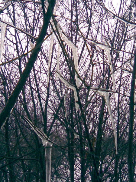 Татьяна Трапезникова