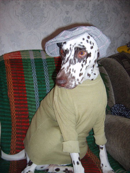 Елена Журавлёва