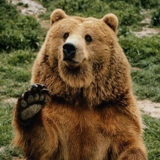 Данила Бурый