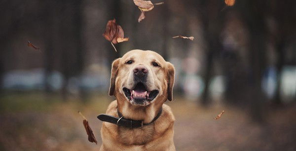 Настя Просянкина