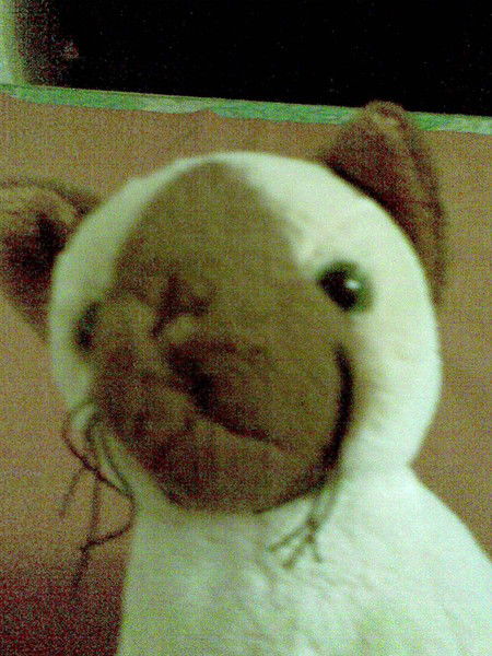 Муравлева Лариса