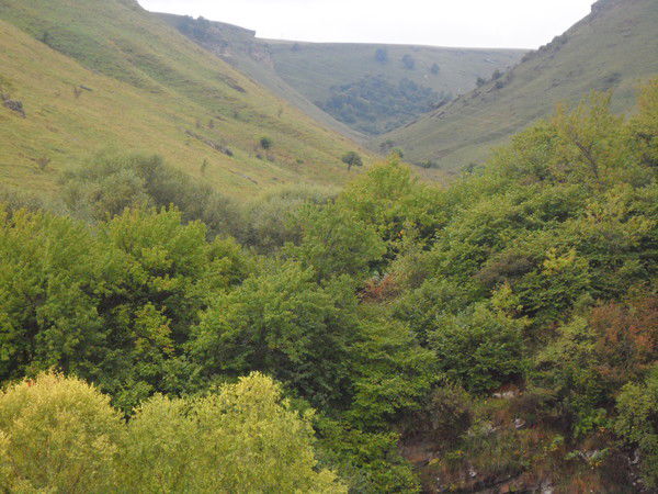 Андрей Лопаков