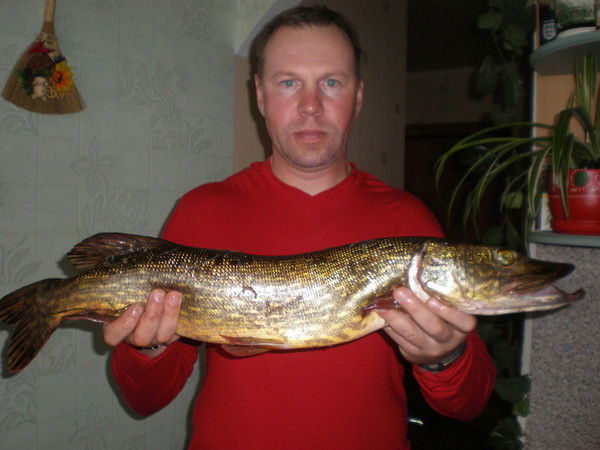 Андрей Драчевский