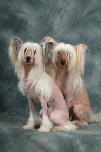 Валентина Валентина