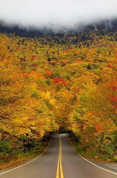 Рустам Абдуллаев