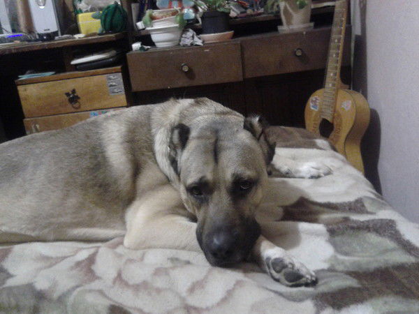 Алевтина Белоусова