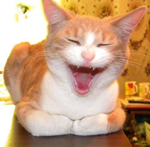 Алексей Михеев