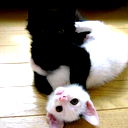 Ильдар Галимов