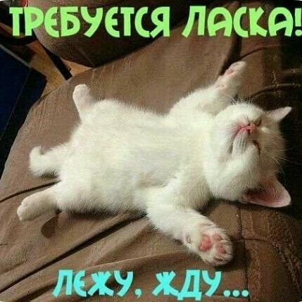 Талшын Мараткызы Тезекбаева