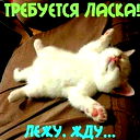 Талшын Мараткызы Тезекбаева