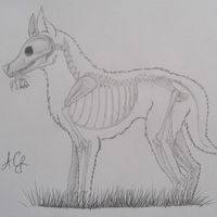 Алёна Салмина