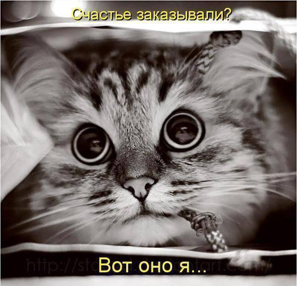 Малышка Любимова