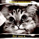 Малышка Любимова