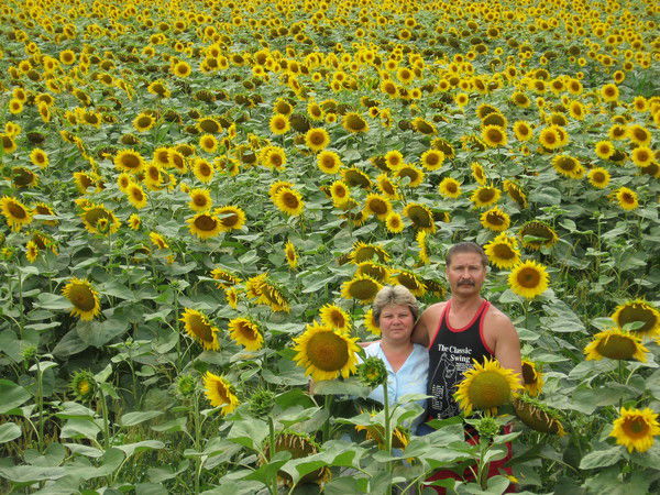 Геннадий Босаревский
