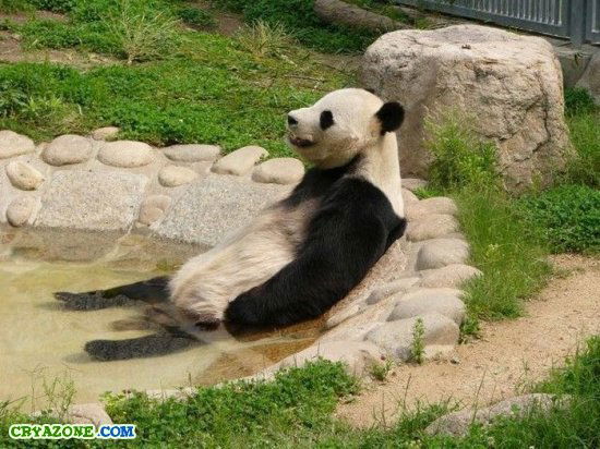 Сергей Ившин