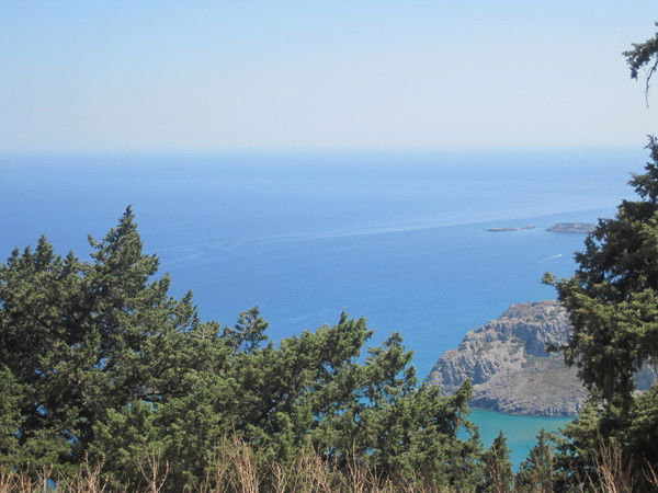 Татьяна Наседкина