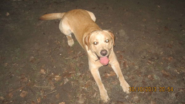 Анна Хандына