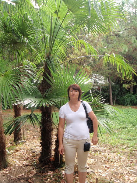 Лариса Голованова