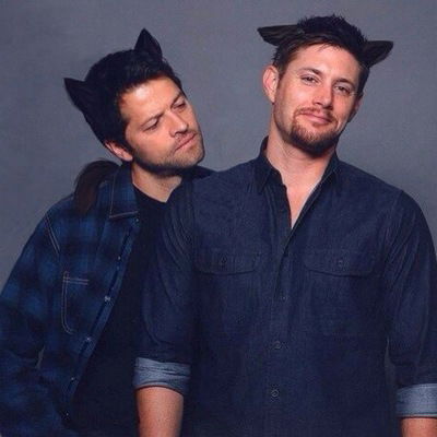 Поля Соболева