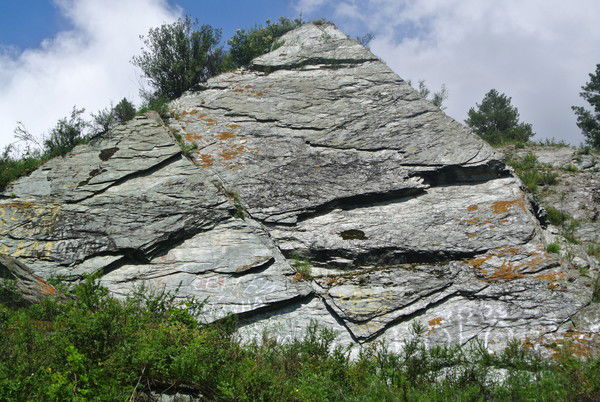 Виктор Зинкевич