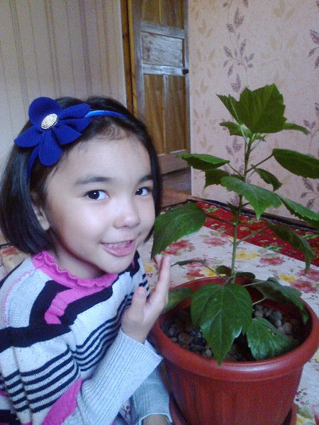 Айнур Тауекеловна