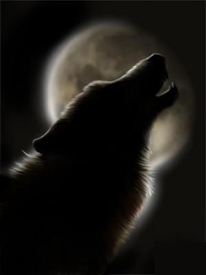 Оля Волкова