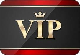 Вячеслав Славин