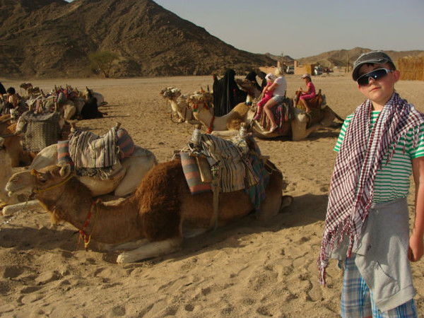 Ирина Шмелёва