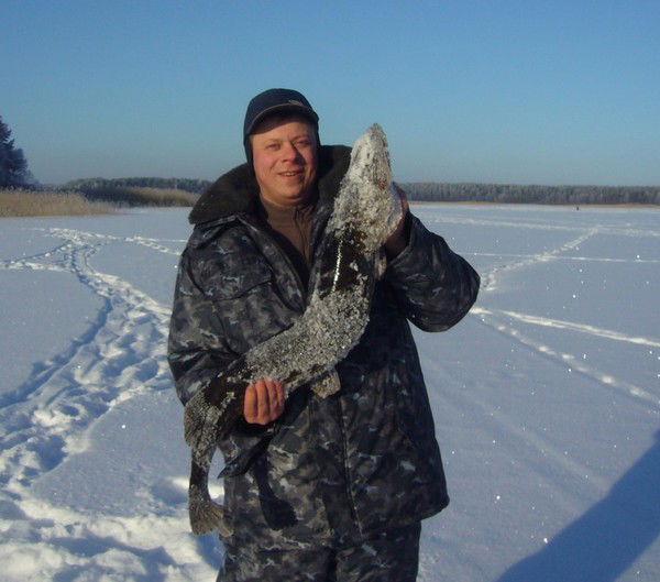 Дмитрий Тверской