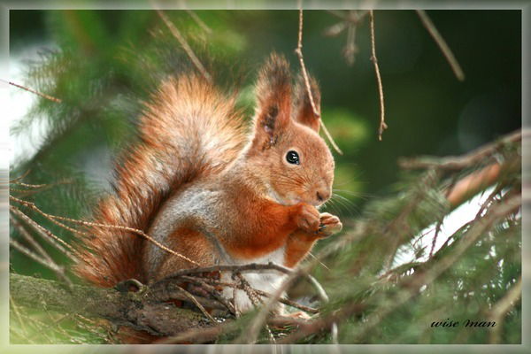 Евгения Овчинникова