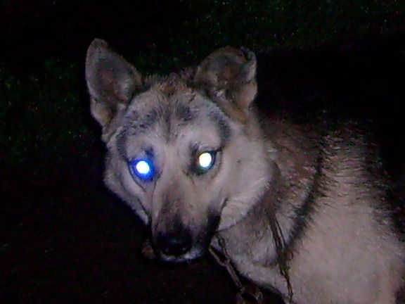 Ринат Буляков