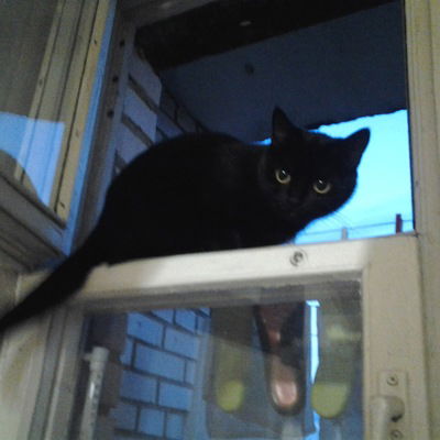 Елизавета Иванова