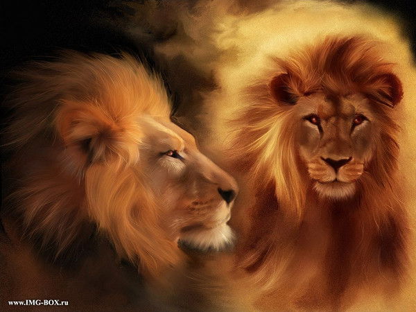 Константин Подалевич