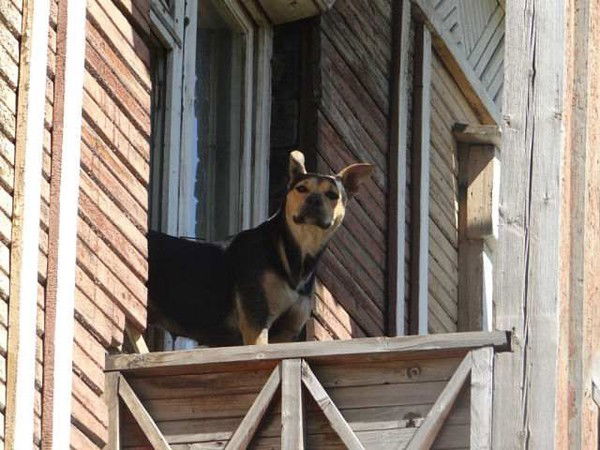 Андрей Арумян