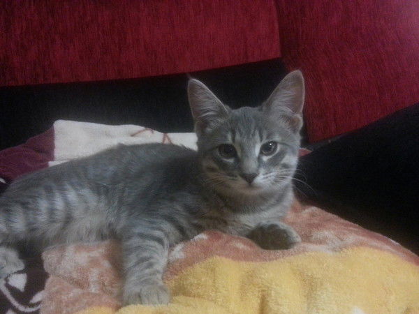 Марина Пухнатова