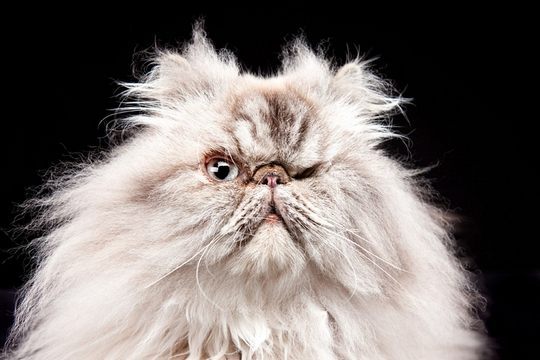 Самат Мурсалимов