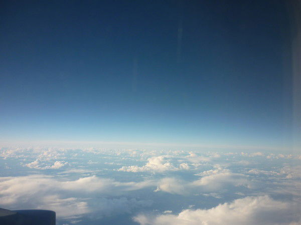 Андрей Кошкин