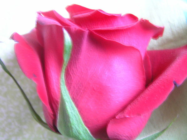 Галя Утдинова