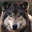 Федя Мармеладов