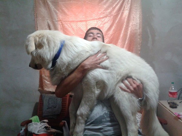 Руслан Кустутинов