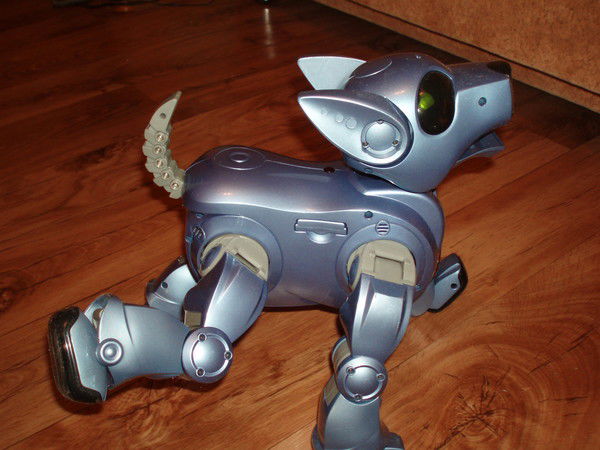 Виктория Федулова