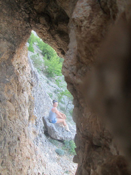 Алла Левицкая