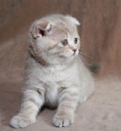 1 Неизвестно