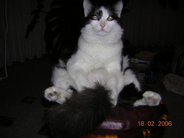 Александр Букеев