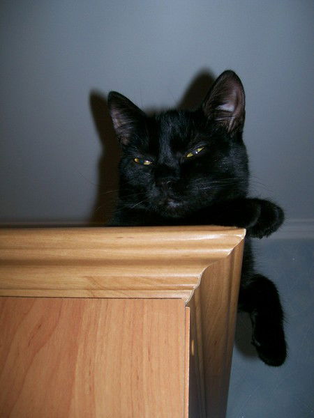 Светлана Дерюго