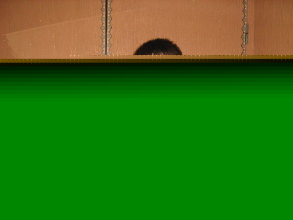 Ришат Ваисов