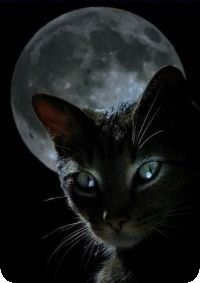 Григорий Садовский