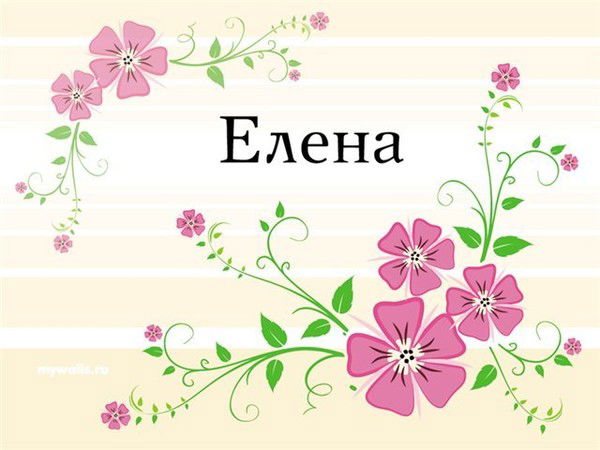 Елена Зайцева