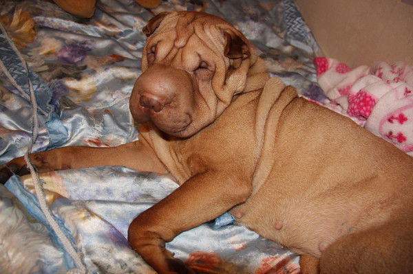 Валечка Тропынина